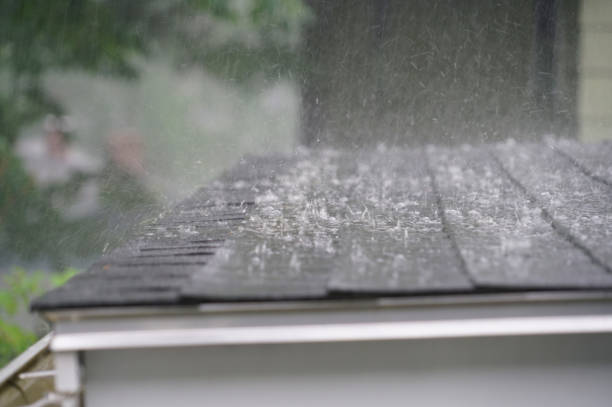 Best Skylight Installation and Repair  in Jones Creek, TX